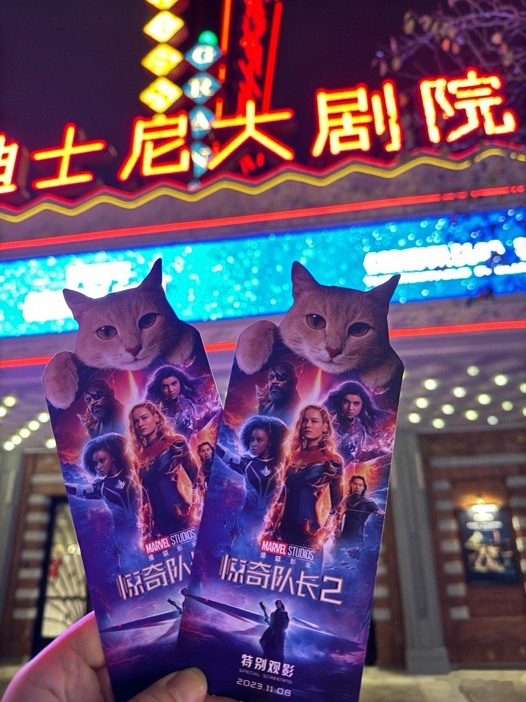 刚看完《惊奇队长2》，只能说，本猫奴狂喜。 ​​​