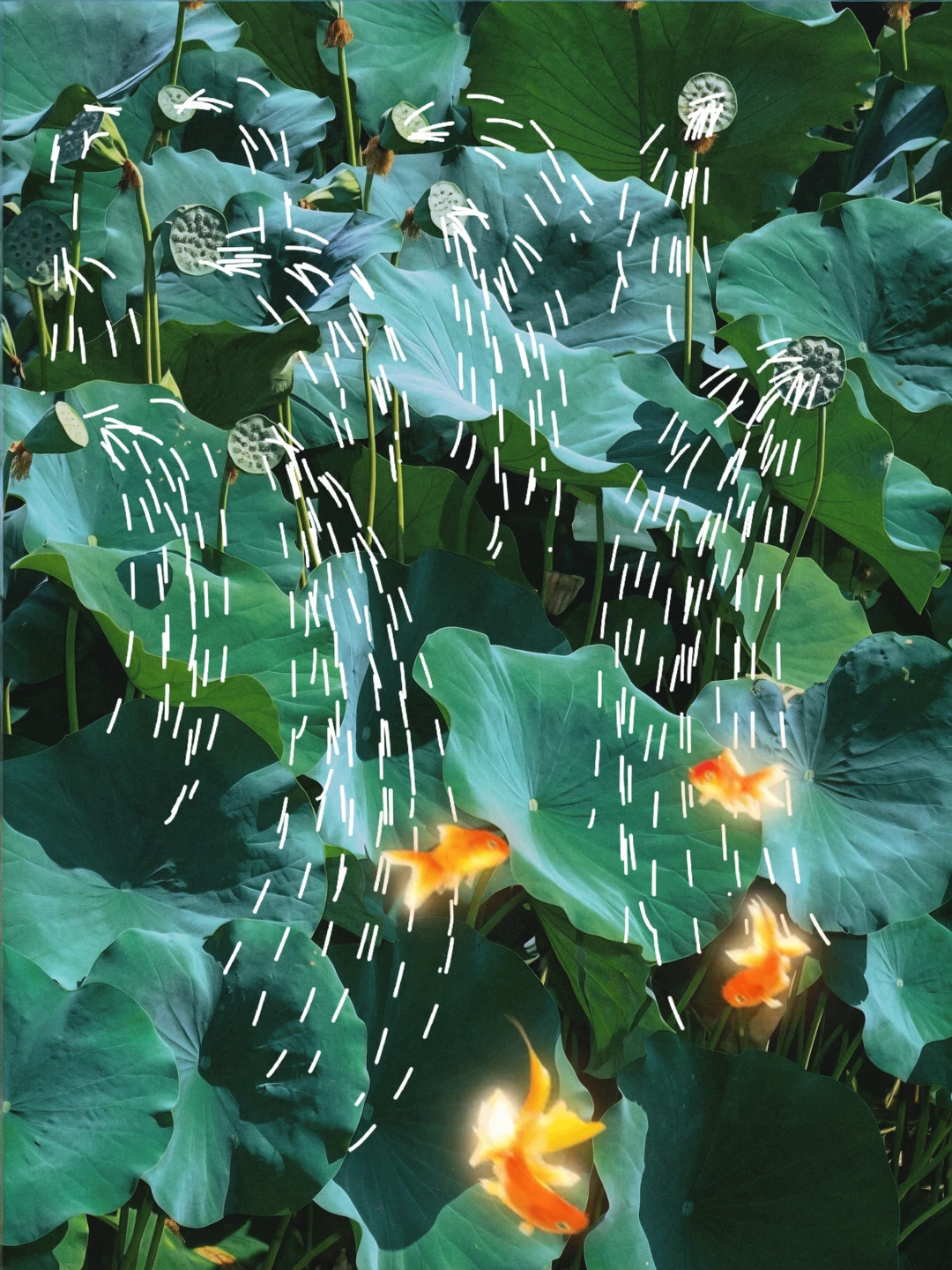 🚿你你你你要洗澡吗？