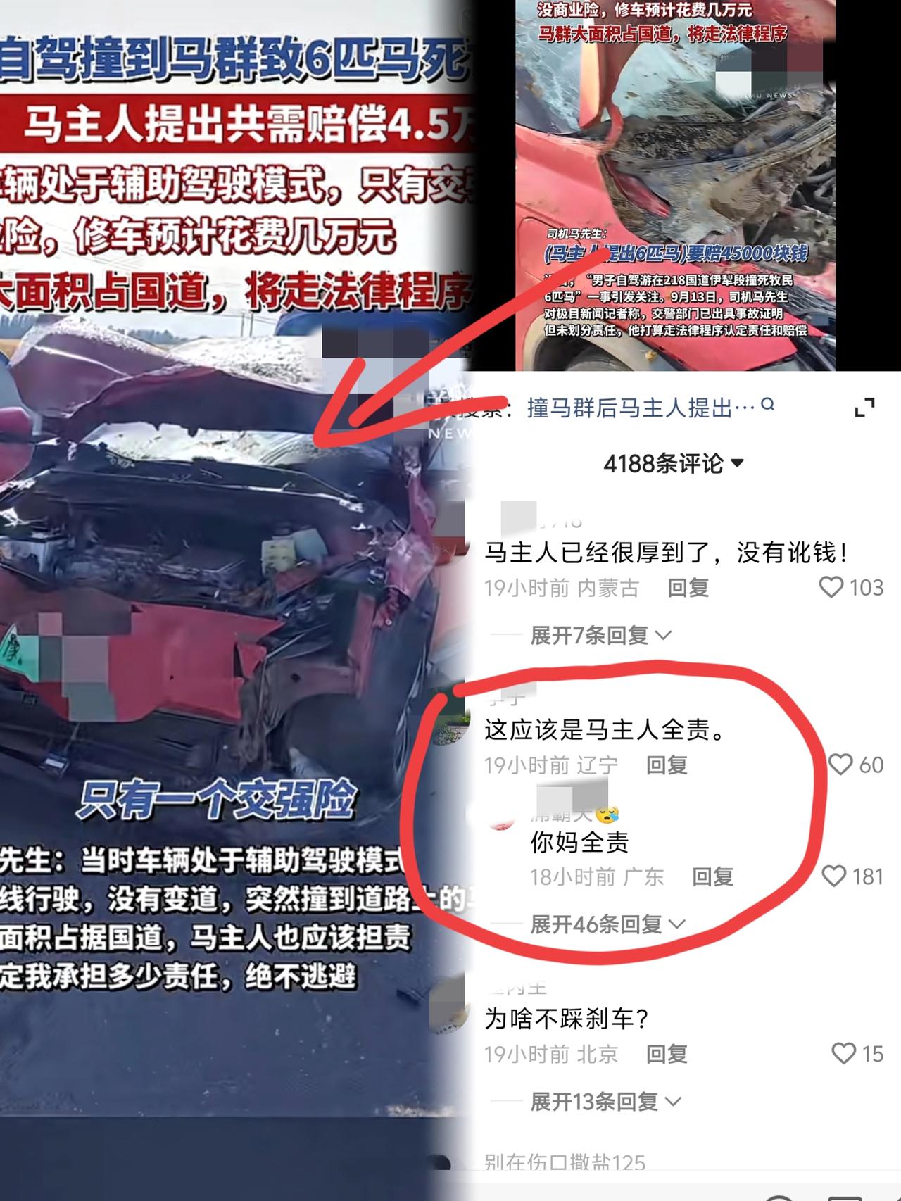 看到男子辅助驾驶出事故，我忍了，
看到事故造成6匹马死亡，我也忍了，
可当我看到