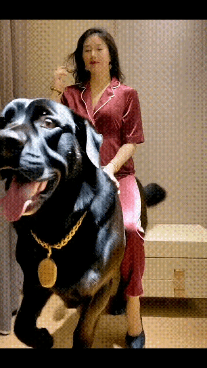 这是母版申公豹[我想静静]