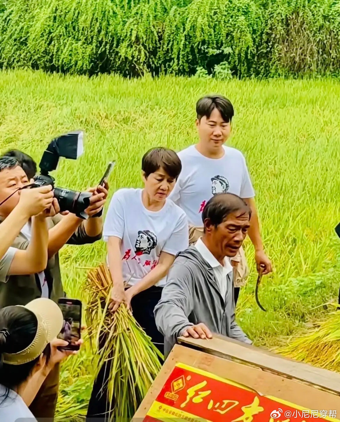 65岁梁安琪到毛主席家乡韶山做公益，她的穿衣打扮朴素，亲自到田里打谷子，虽然动作