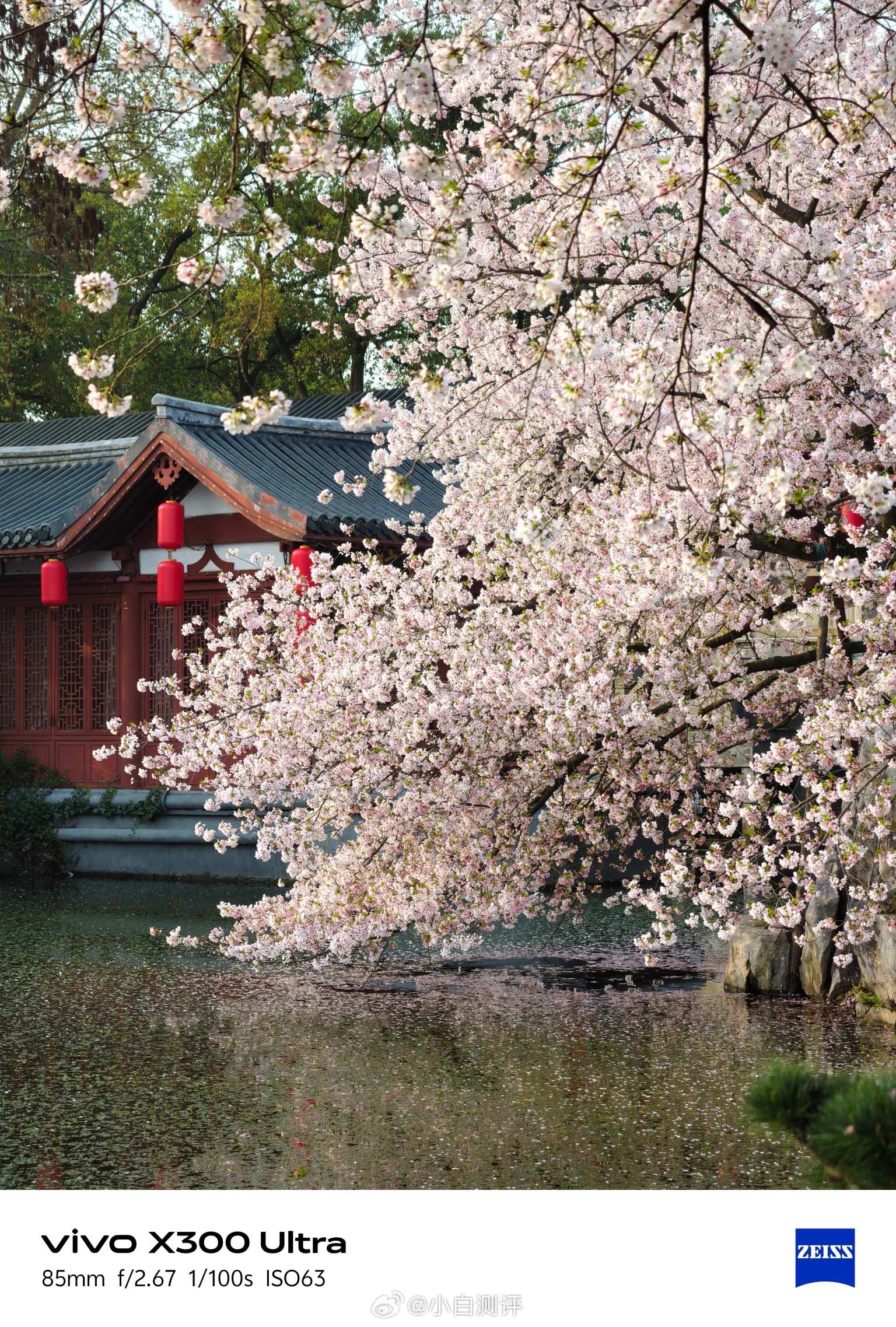 整理一组之前用vivo荣耀小米三家超大杯2亿像素模式拍的照片，三张图片大小加起来