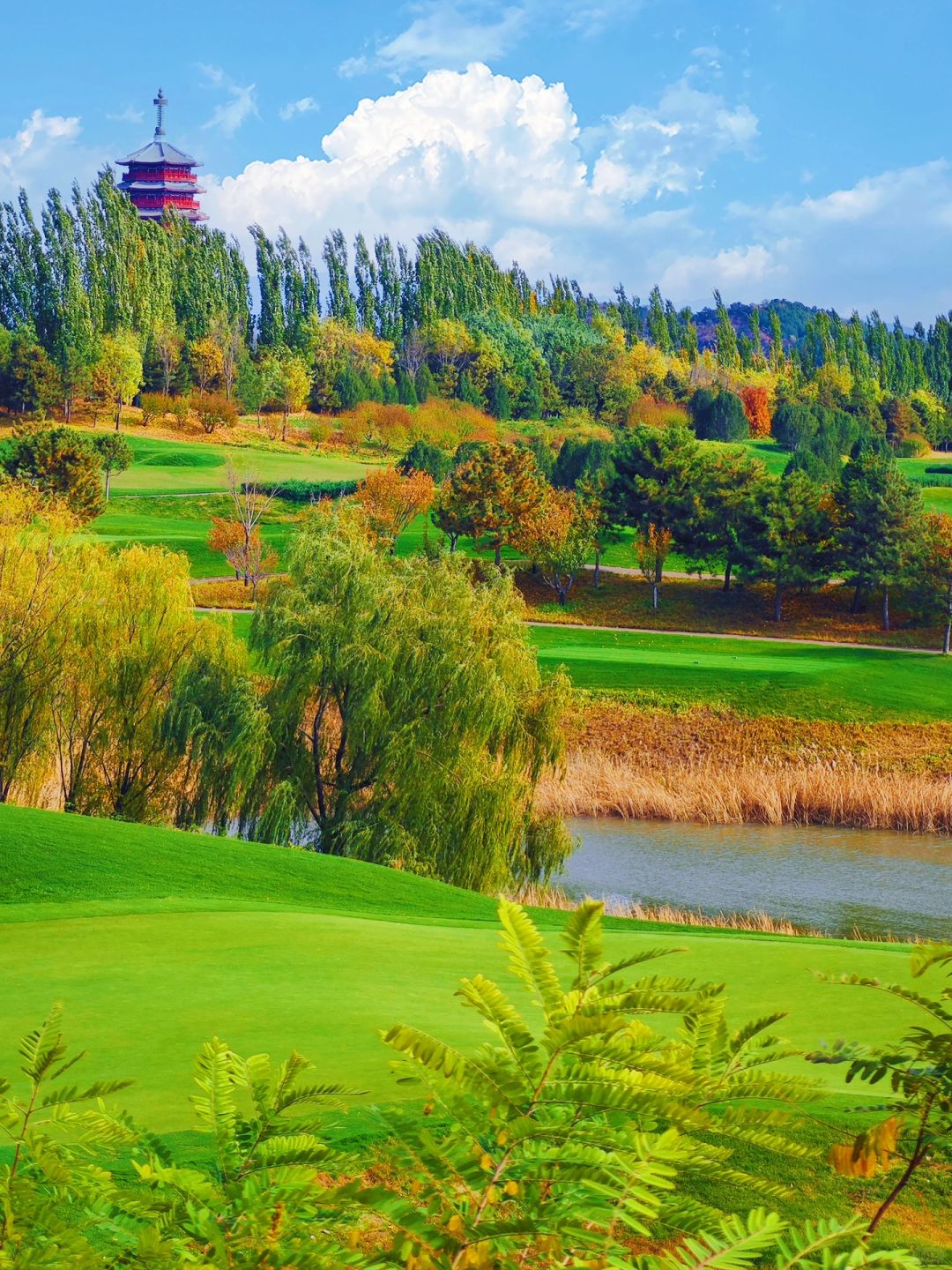 11.3实拍，赏秋骑行两不误，快去！附实况➕地图