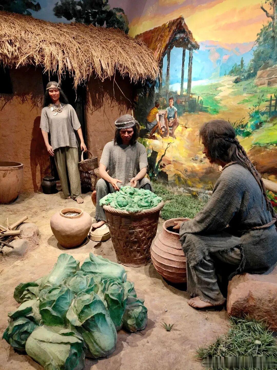 才不是不起眼的免费小菜，泡菜，妥妥是刻在四川人骨子里的白月光🌶️从小稀饭配泡菜