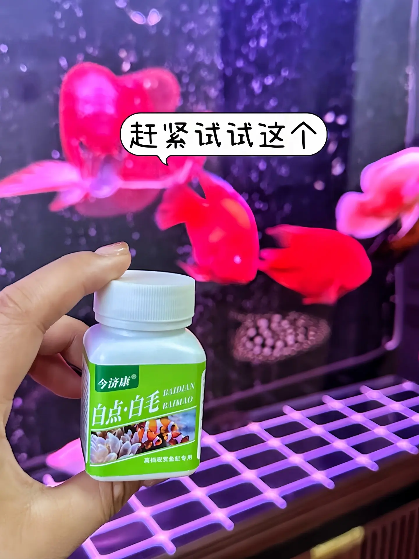 哥哥们，季节交替鱼儿容易长白点白毛怎么呢？不要担心， 放些自点白毛粉吧...