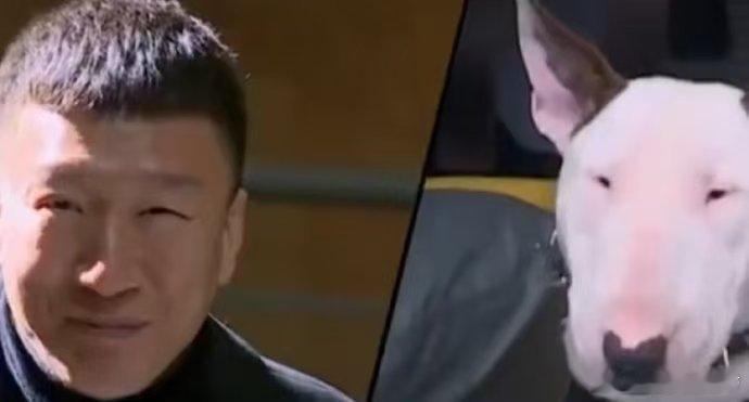 沙宝亮也闯进猫塑赛道了 笑到停不下来！网友晒猫撞脸沙宝亮，宝哥幽默回应。从狗塑到