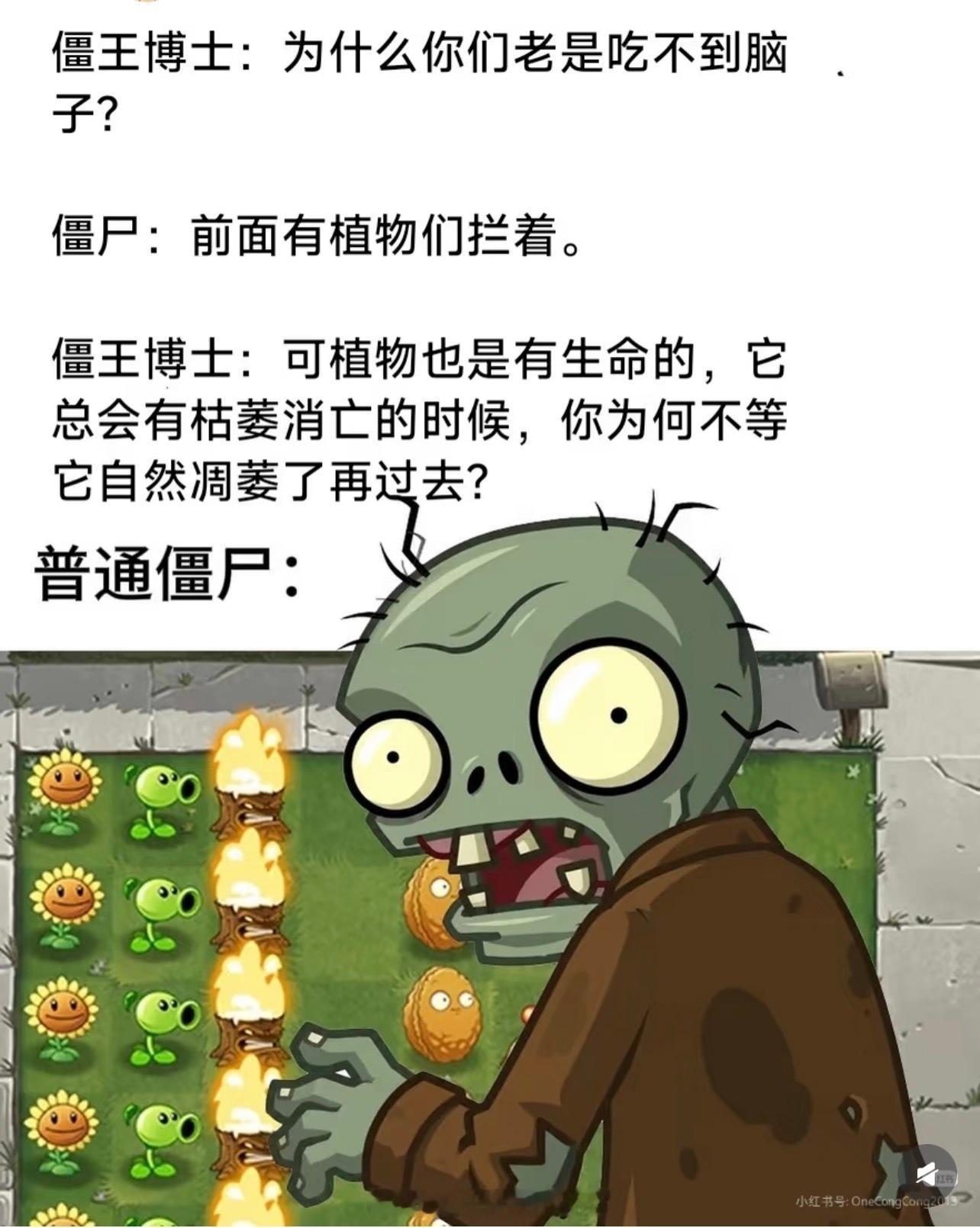 流汗黄豆的瞬间