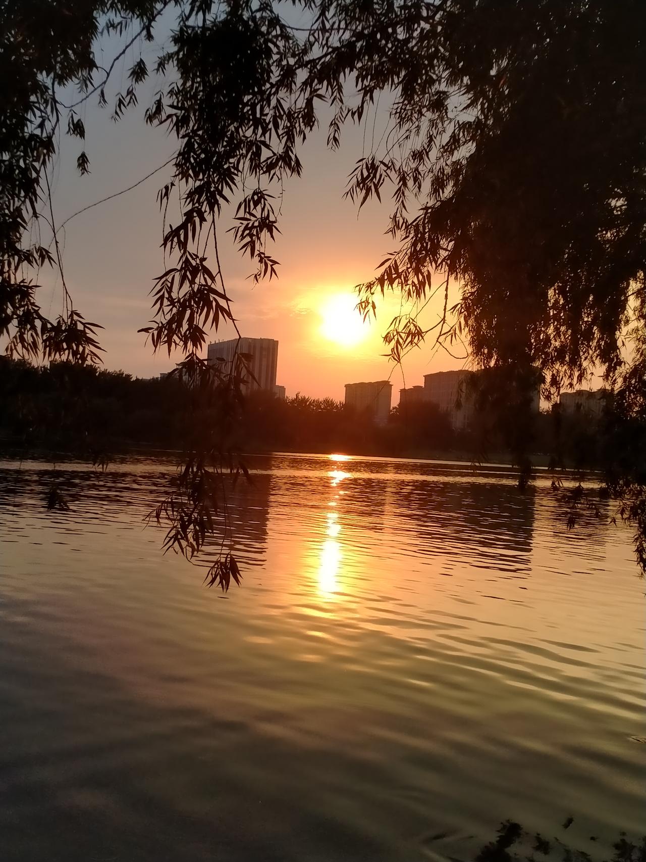 那就拍个日落吧。