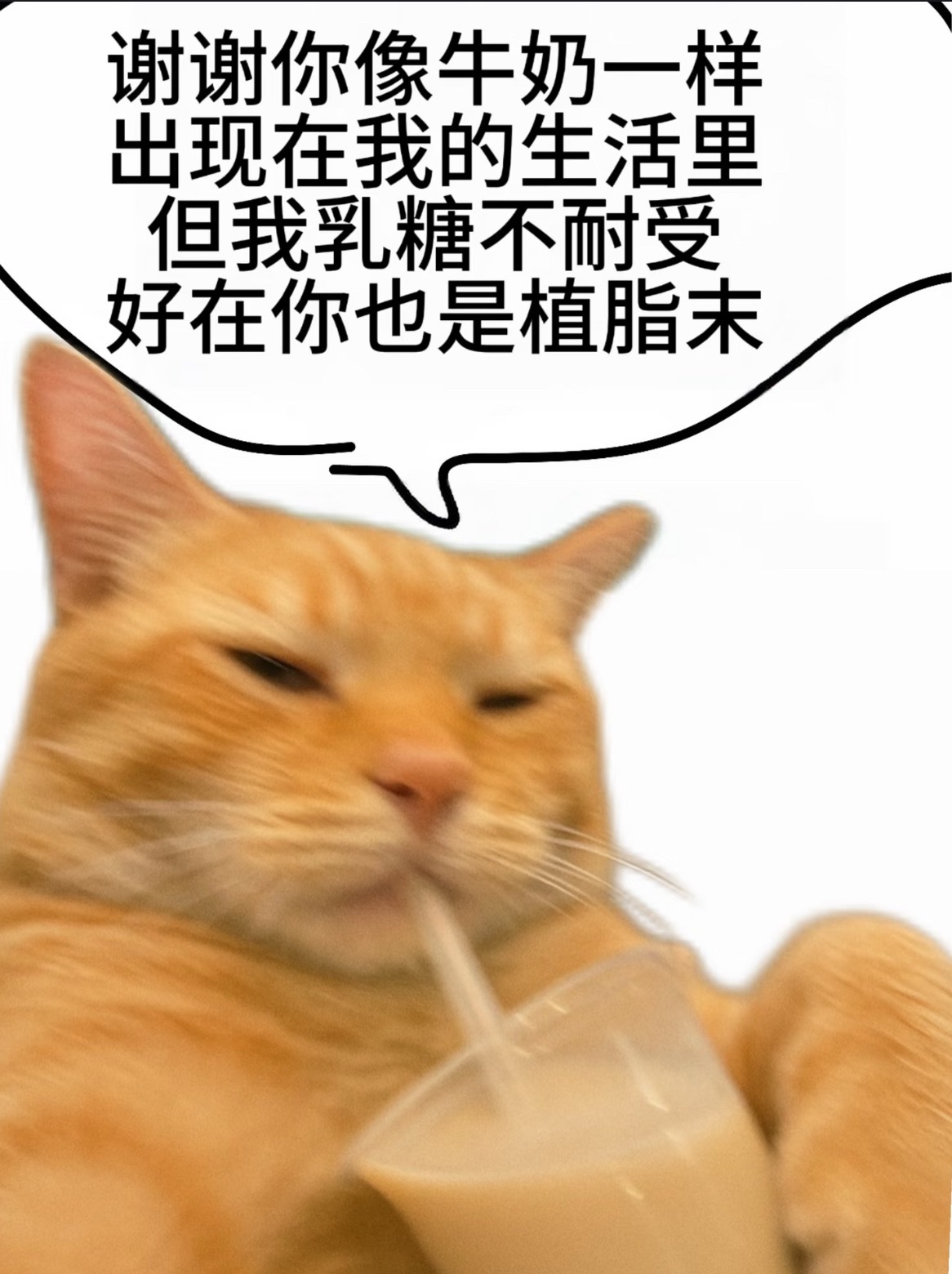 看到一张很适合我的meme