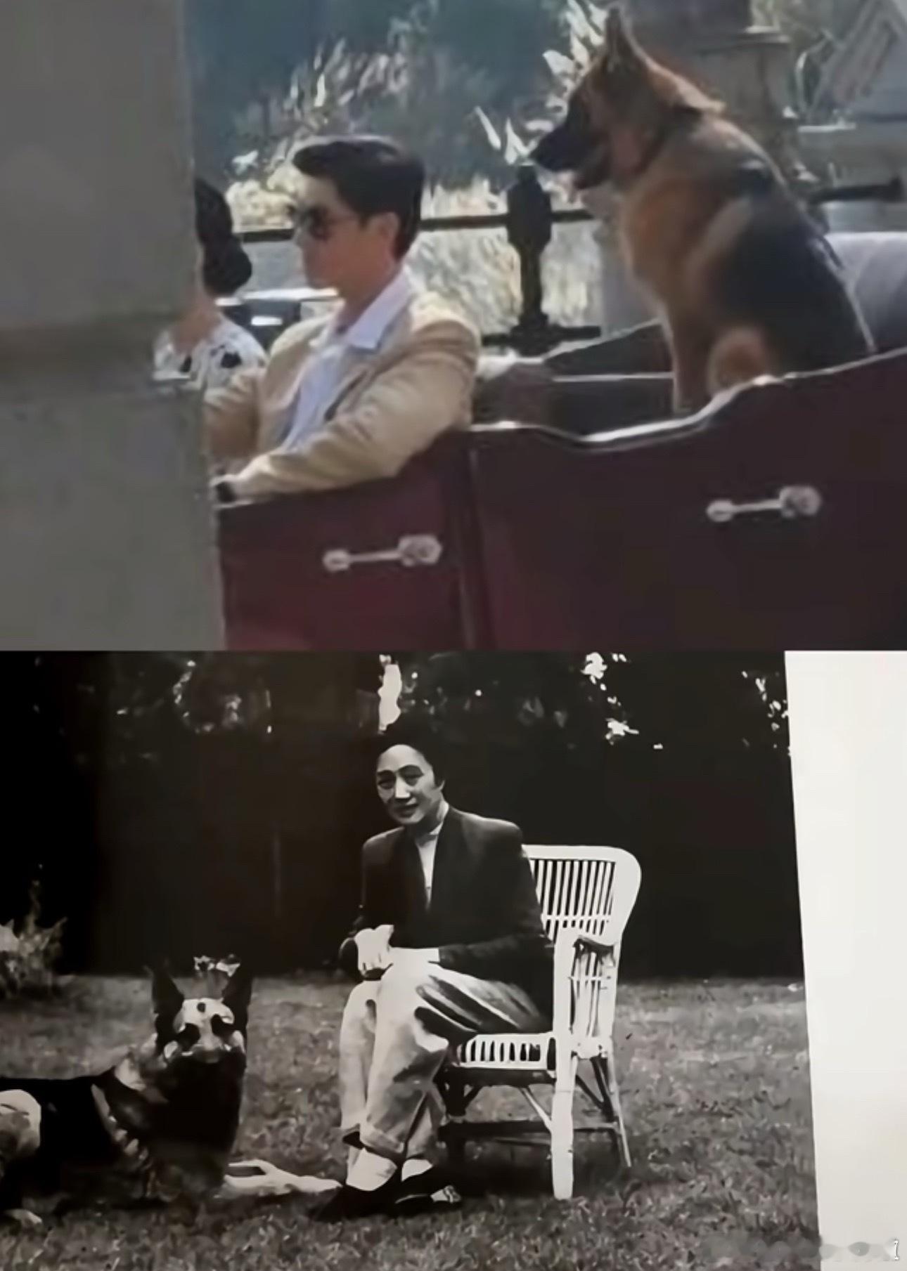 玉兰花开君再来就妆造这块，真挺尊重历史事实的，抠图式还原董竹君穿搭，杨紫越看越适