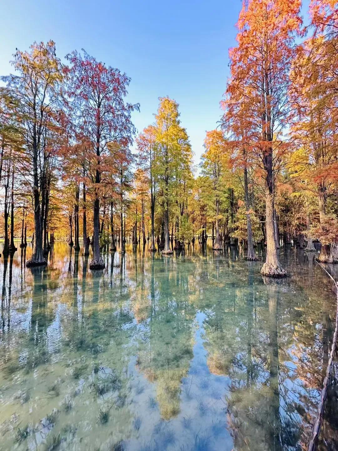 散漫～周末～

（前三朋友图）

祝亲爱的你平安喜乐 梦凡的世界 
记录生活