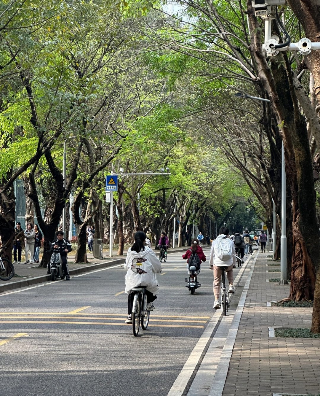 你终于发现上大学的真正主线了终于悟了！大学真正的主线是找到“我是谁”。以前被分数