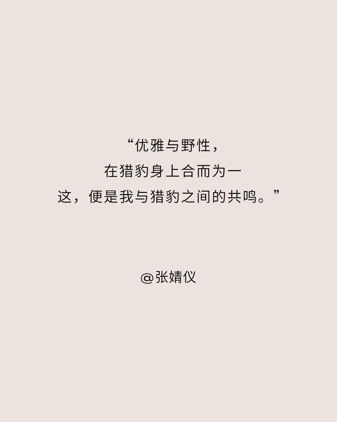 张婧仪[超话] ｜🧩 图片x2张（260821/卡地亚）张婧仪卡地亚品牌大使 