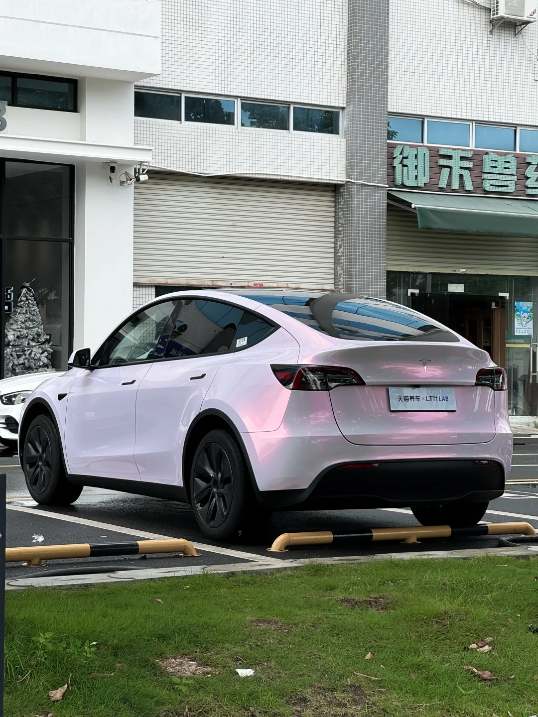 Model Y｜花悦粉颜值在线 🌸