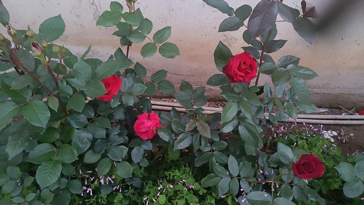 这里有一份清淡、营养且适合减脂的晚餐食谱推荐。

减脂晚餐的核心原则是：高蛋白质