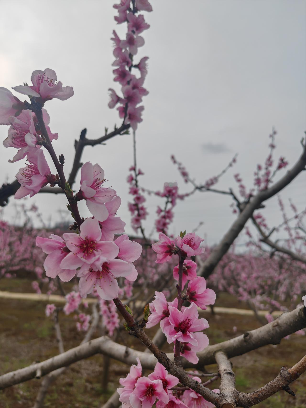 刚刚看到一位友友的求医经历，觉得人有病有时比较急躁，所谓病急乱投医。

以后看病