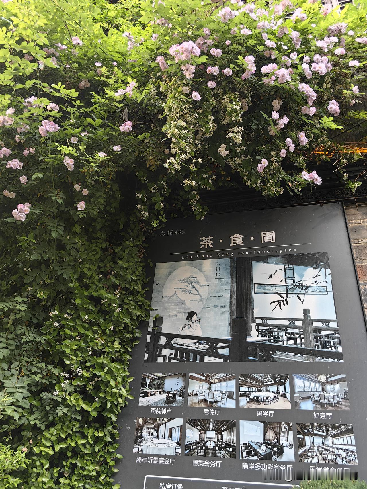 分享南京老门东蔷薇花前先吐槽一下南京的公交老年优惠卡吧。60—70岁半价优惠，线