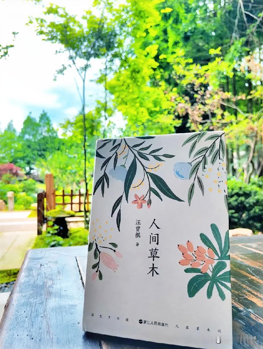 重读汪曾祺《人间草木》，最宜在秋日。没有沉重的说教，不见跌宕故事，一草一木，一饭