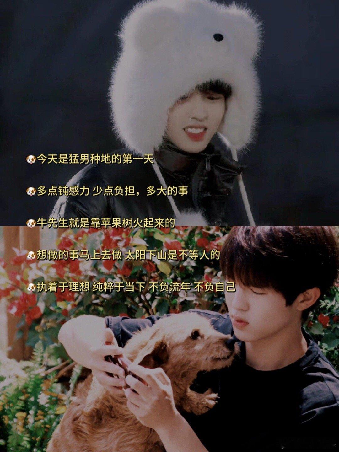 种地吧 爱让寡言者滔滔不绝再看现在，绿油油的菜苗前，他笑得像个孩子，笨拙又真挚地