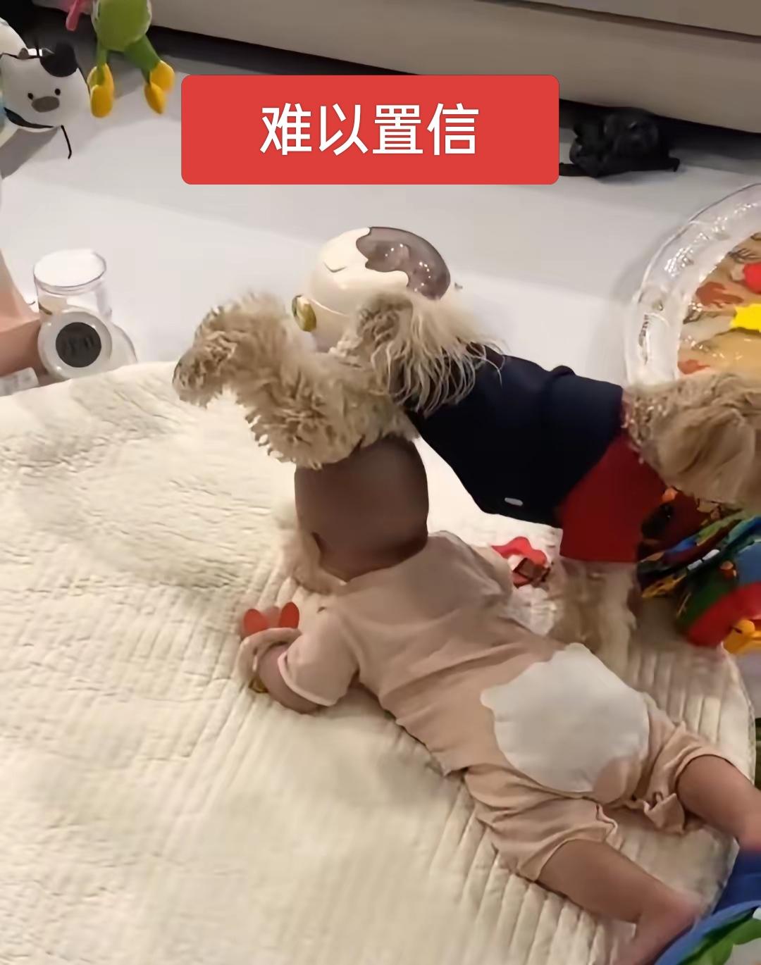 也就这种宠物狗争宠才会干这事吧！中华田原太肯定不会这么干！宠物狗居然在宝宝头上撒
