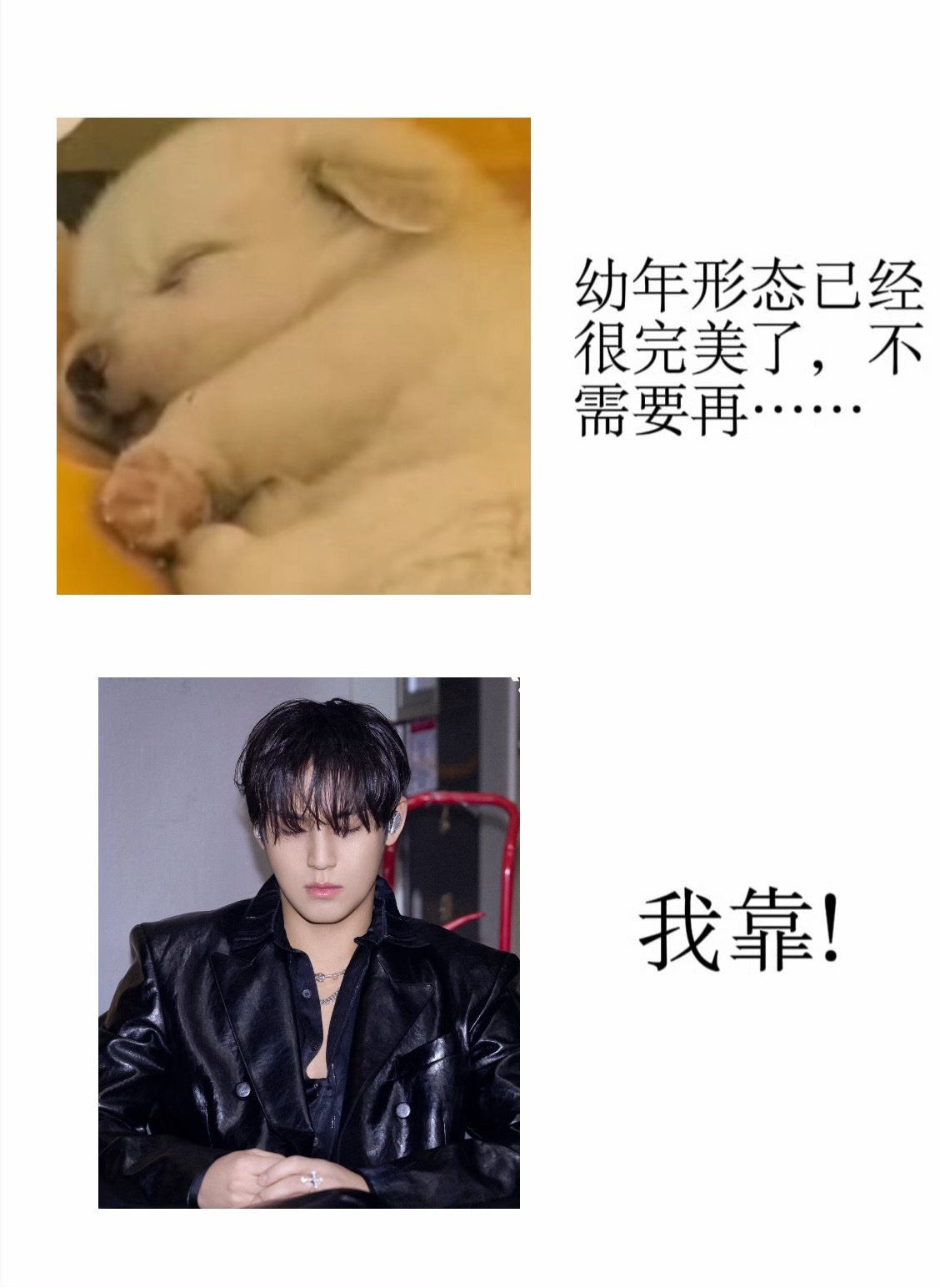 【投稿】我靠！ 