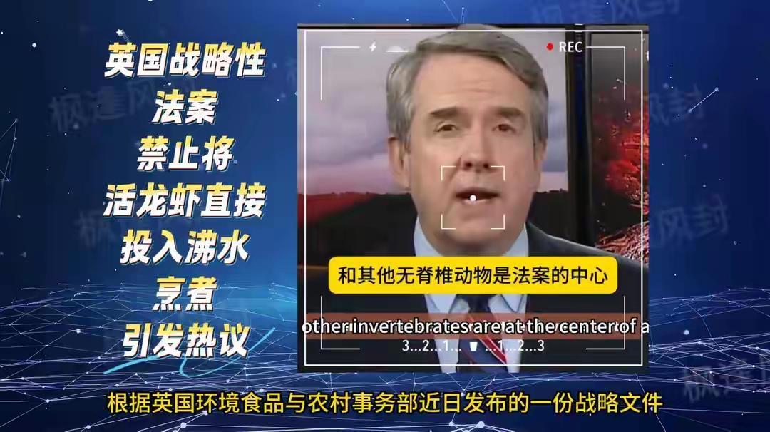 什么叫虚伪，这才叫虚伪。
渔船直接雪藏的鱼也是生命，冷冻时间比直接煮，生命的疼痛