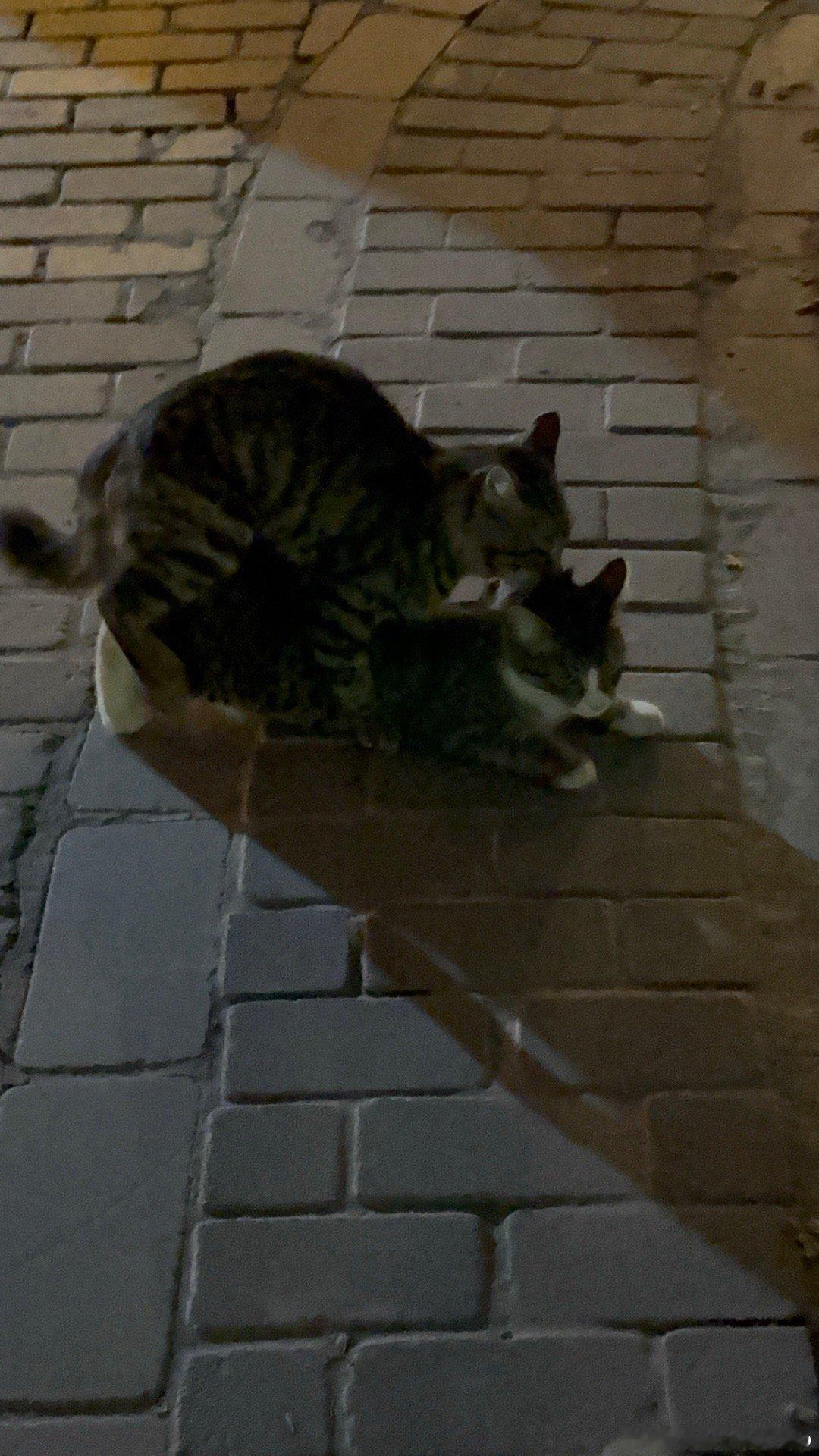 一边是爱情，一边是婚姻