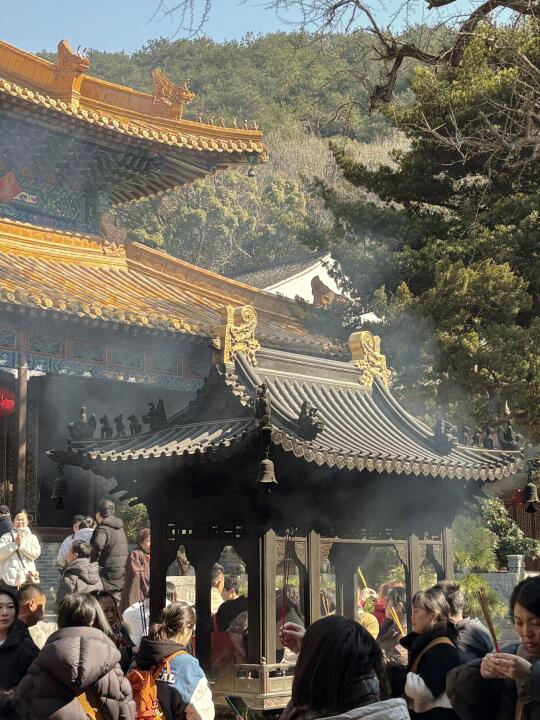 普陀山新年盛况，香火鼎盛迎新春🔥