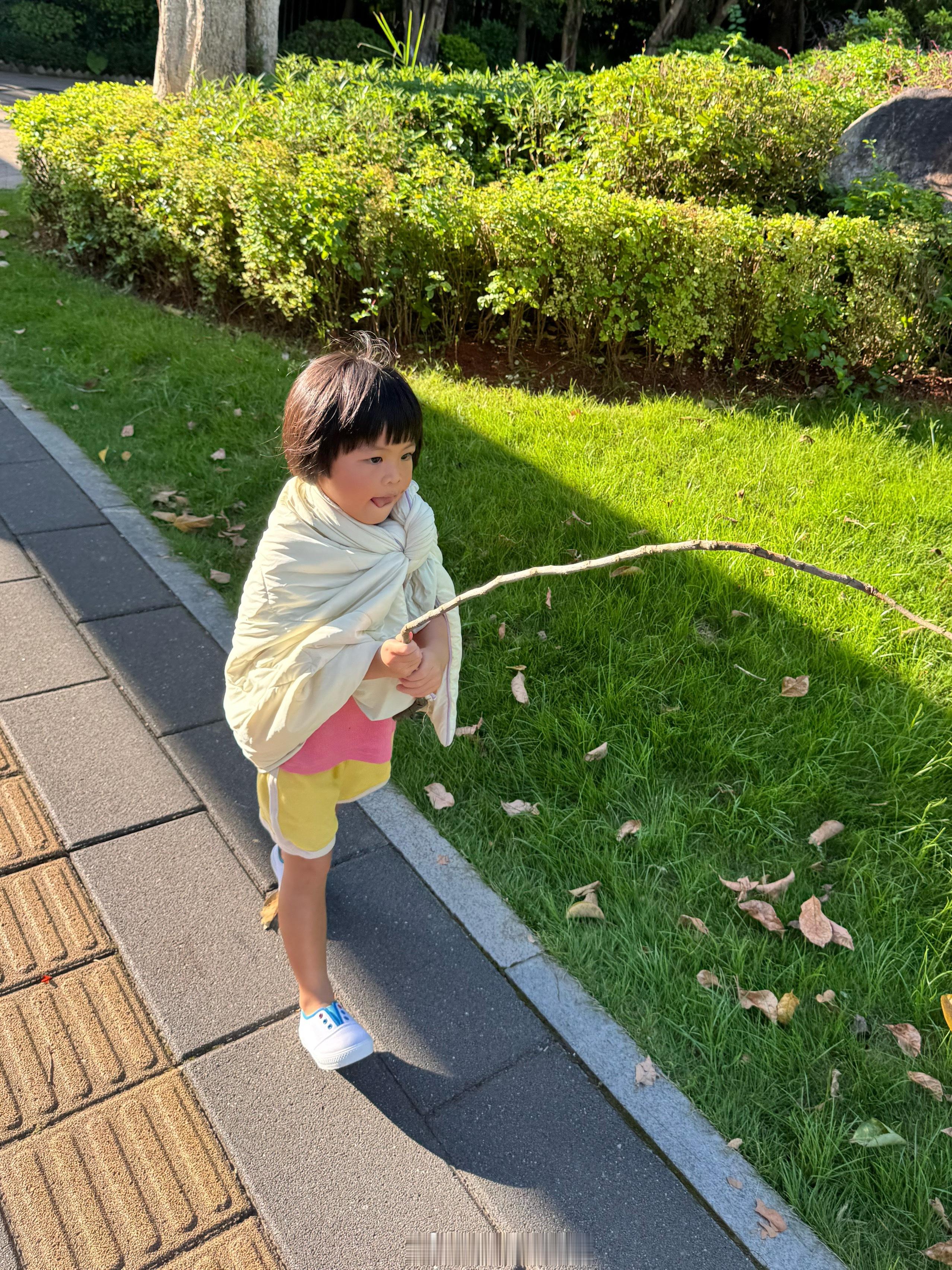 旅蛙去接了，我在公司上班今天又捡树枝了，我见过最爱捡残英落木的小孩 ​​​