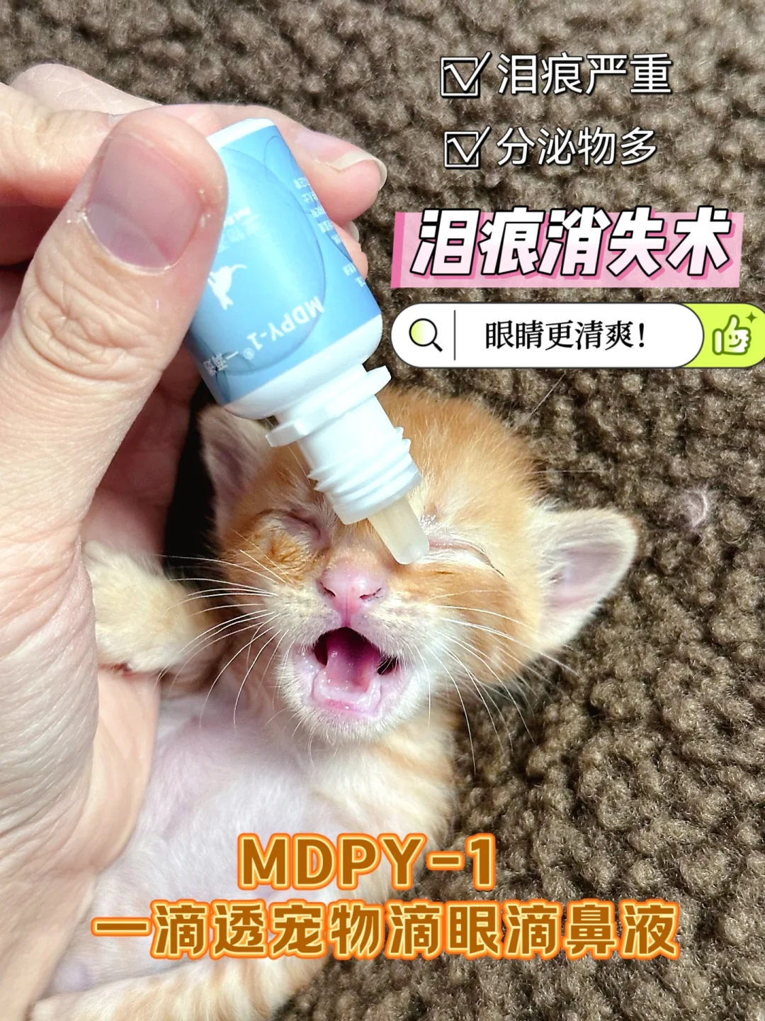 小猫眼部护理攻略