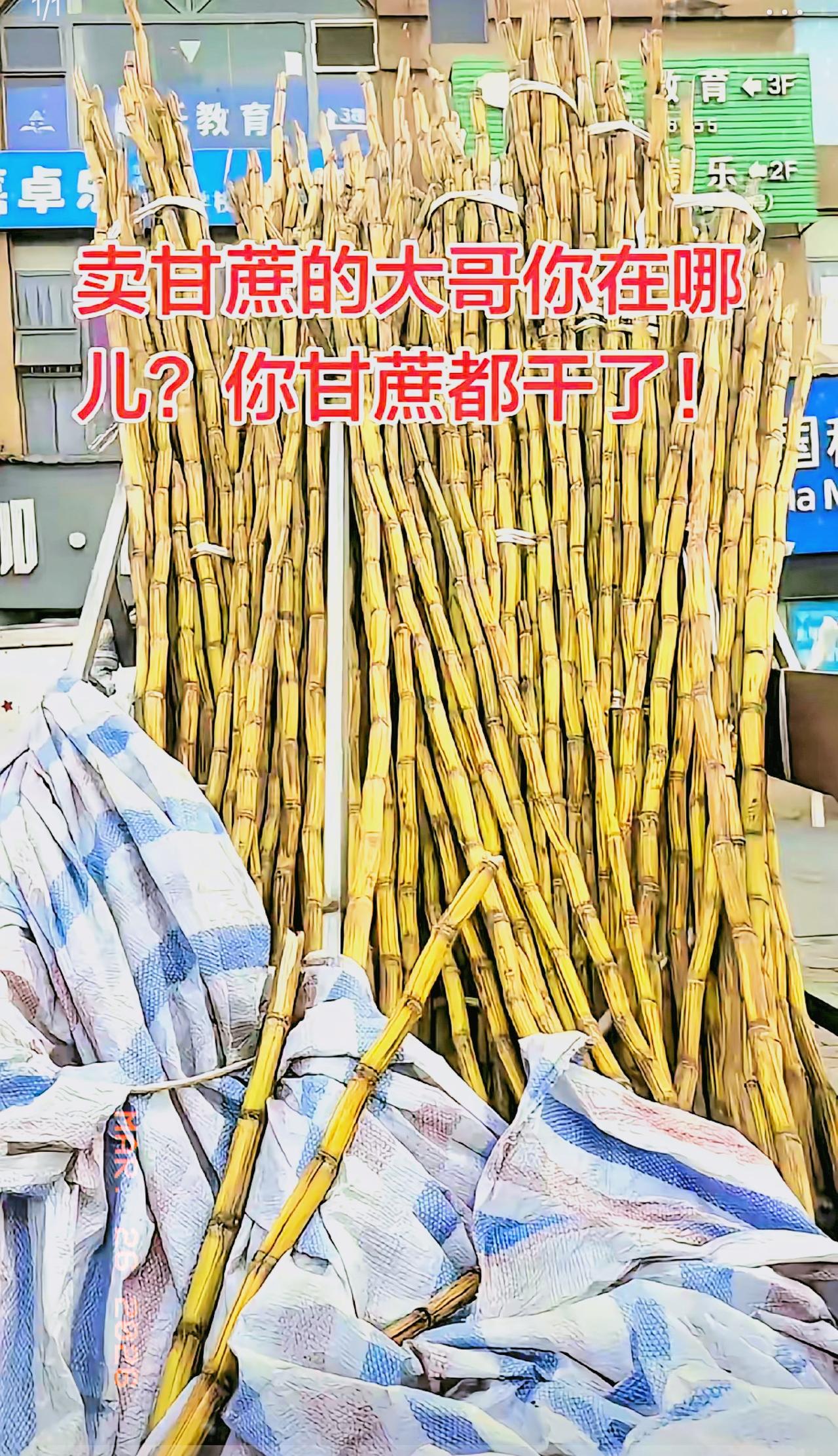 太暖心了，四川，一男子发现，楼下常年摆摊卖甘蔗的大哥从过年之后就没出摊了，路边三