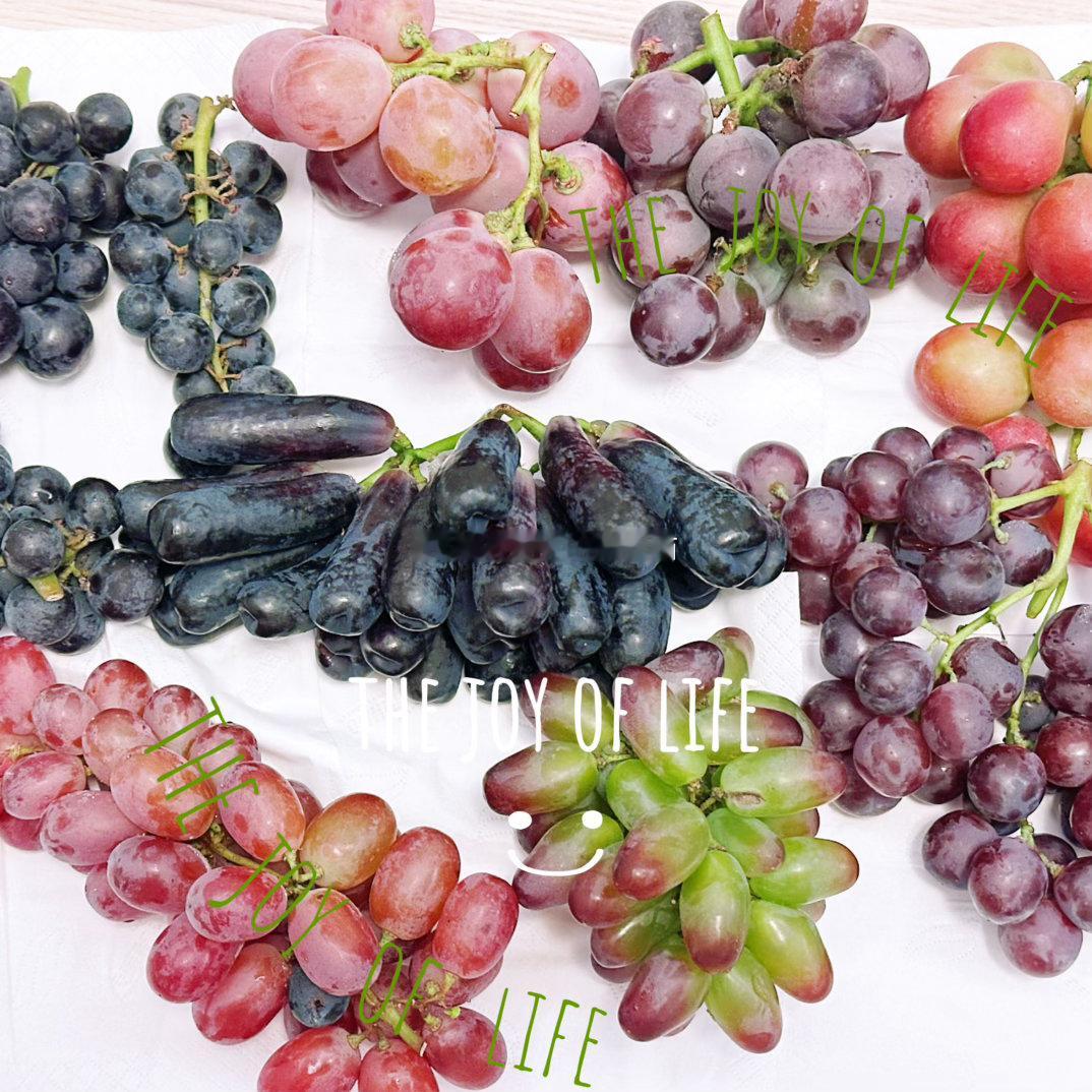 买了个八拼葡萄试吃🍇 