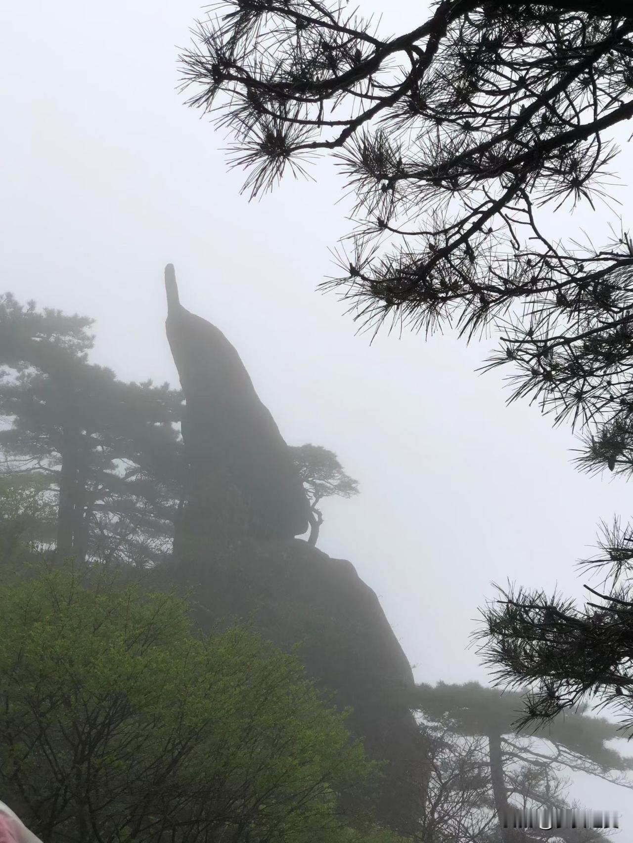 【小对联】
上：……？
下：辞源。