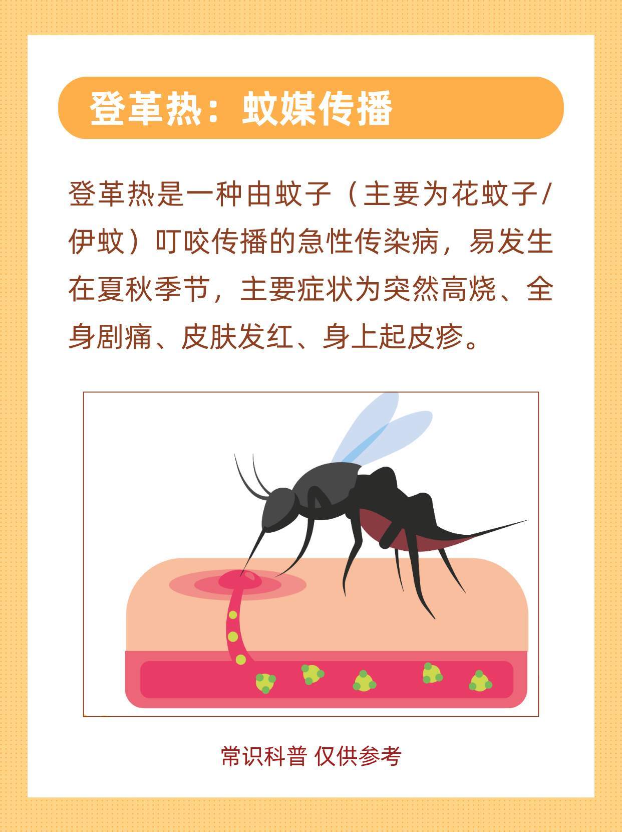 防蚊非常时期！“登革热”到底是什么？ 