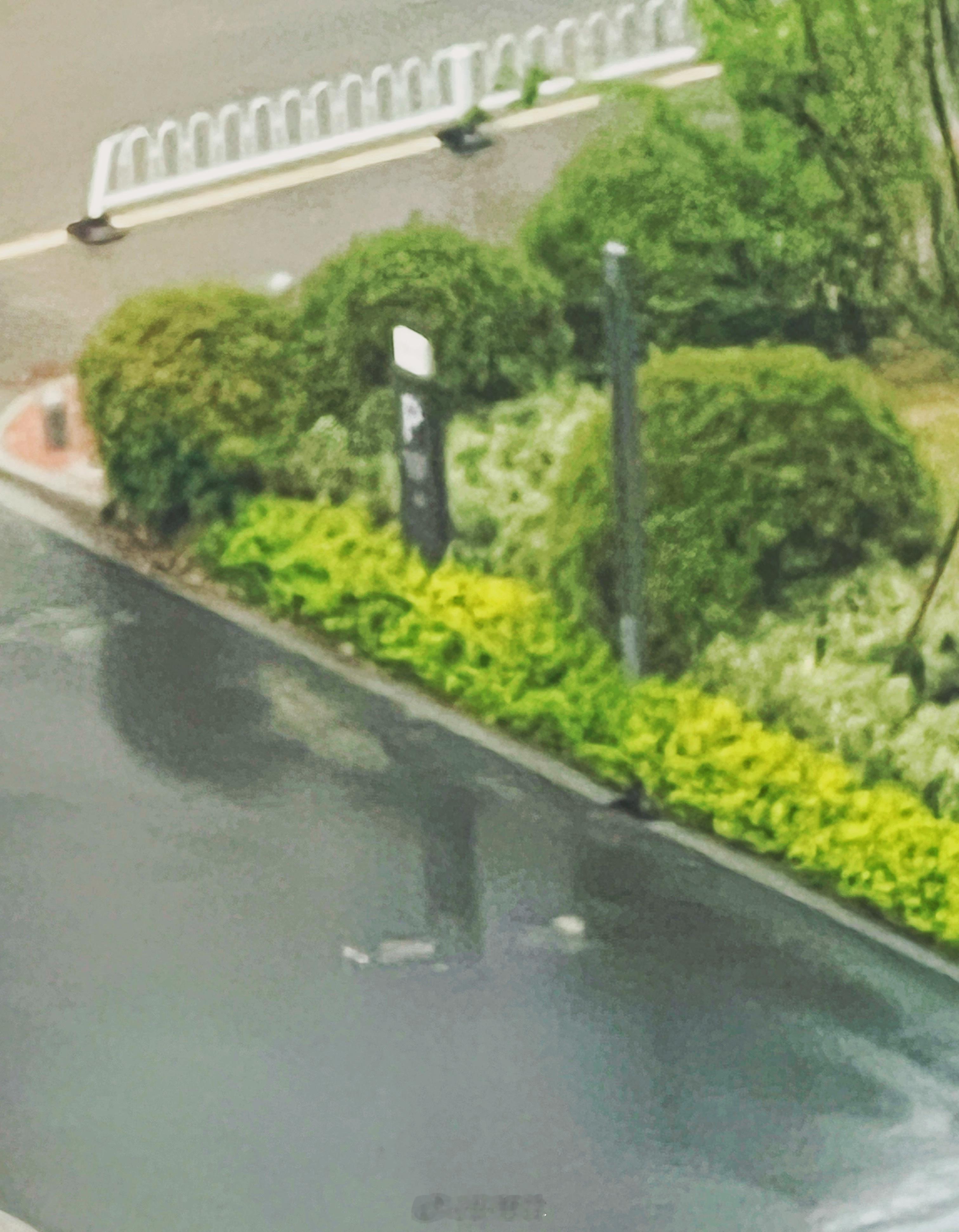 立夏 2025年五一假期最后一天，恰逢立夏。推窗观望，昨夜一场及时雨，缓解了长时