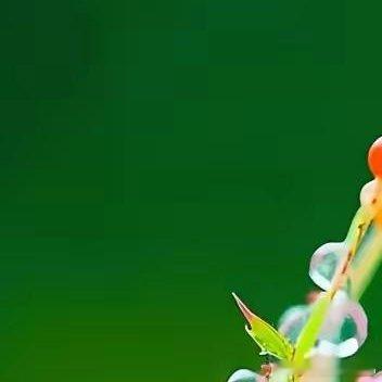 #熊猫守护者[超话]#[鲜花]#阳光信用# [鲜花]#每日一善# 如果你不喜欢某