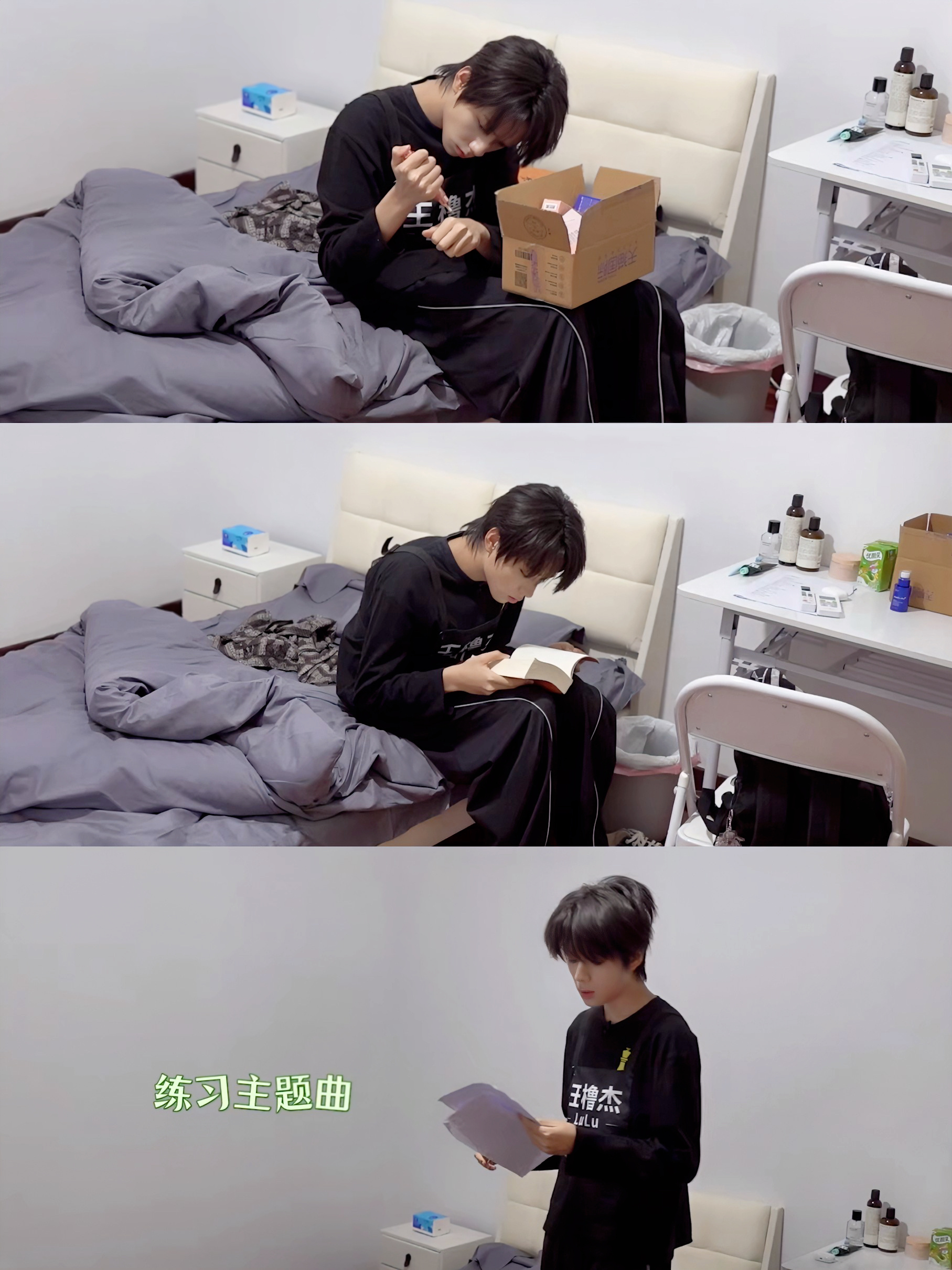 宝豚的小世界 