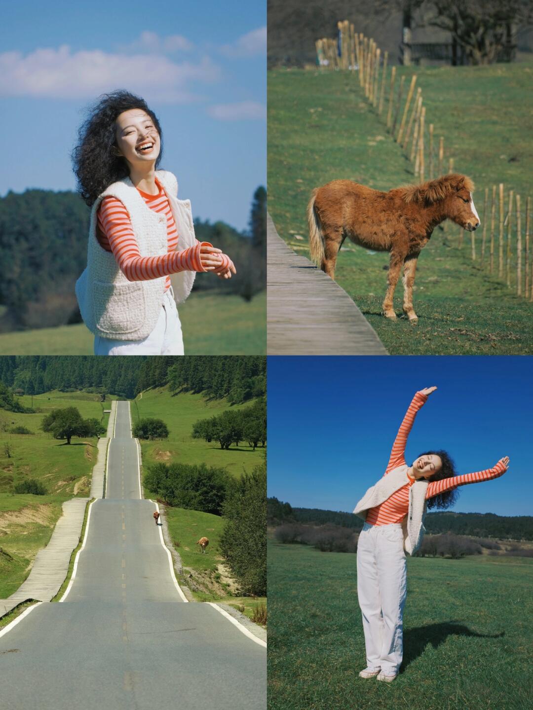 不是川西去不起，而是仙女山更有性价比 ！