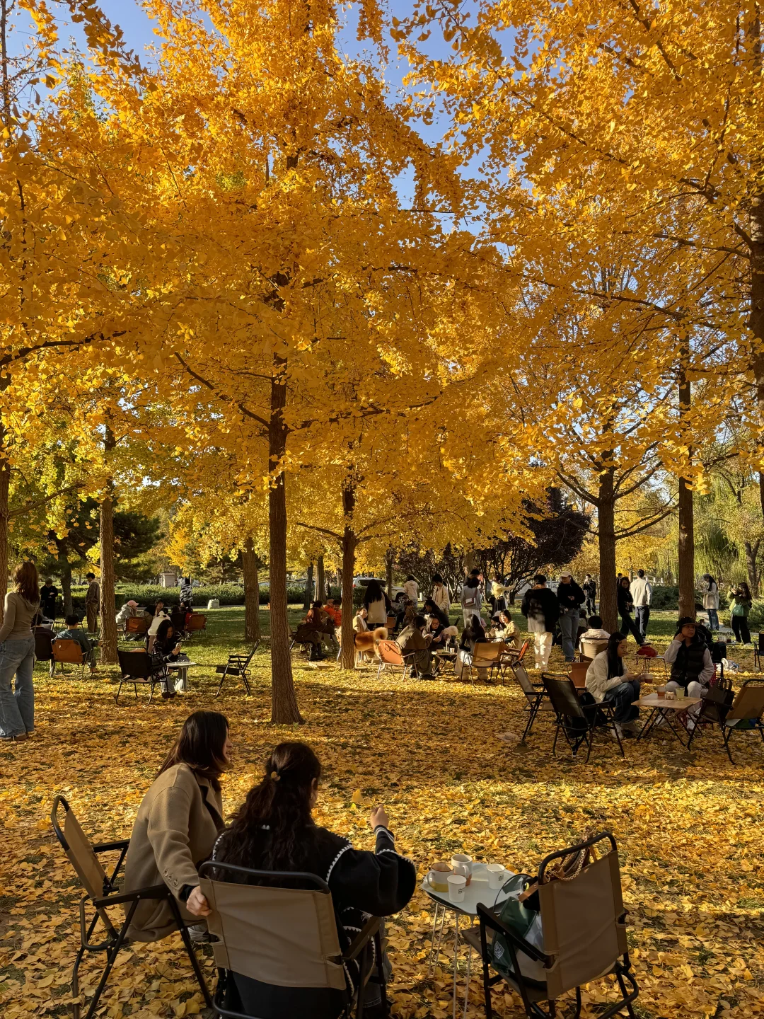 北京秋日散步…必须的那些地方🍁🍂