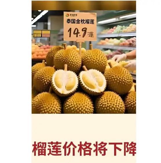 榴莲价格彻底崩了卖不动，现在轮到榴莲了。从车厘子，到荔枝、到阳光葡萄，再到榴莲，