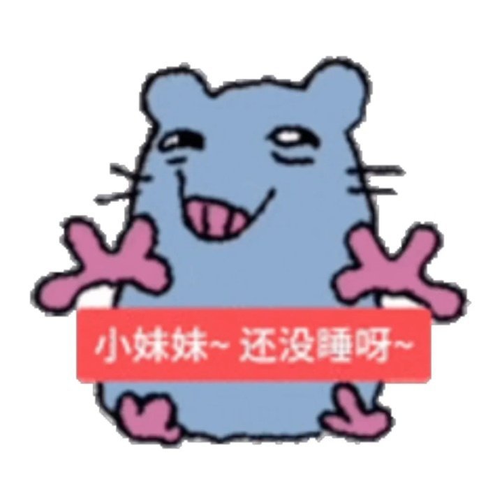 我要宝雷朋一辈子 