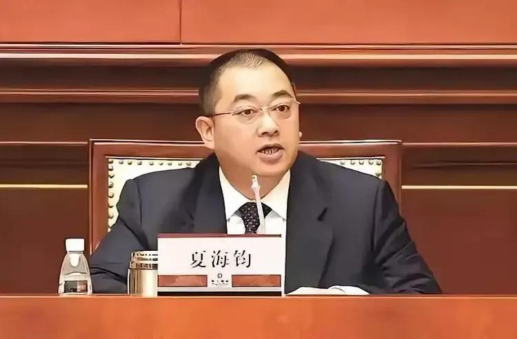 许家印被判无期徒刑，这也是他罪有应得。在这场足以申请吉尼斯纪录的金融诈骗案中，令