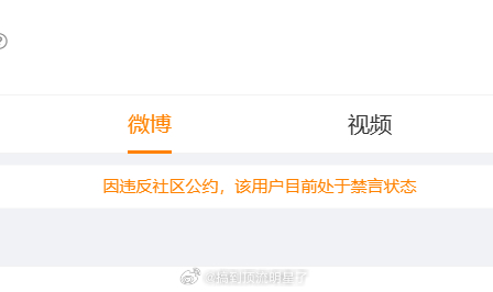 赵露思粉丝高仿于正已经被禁言了 ​​​