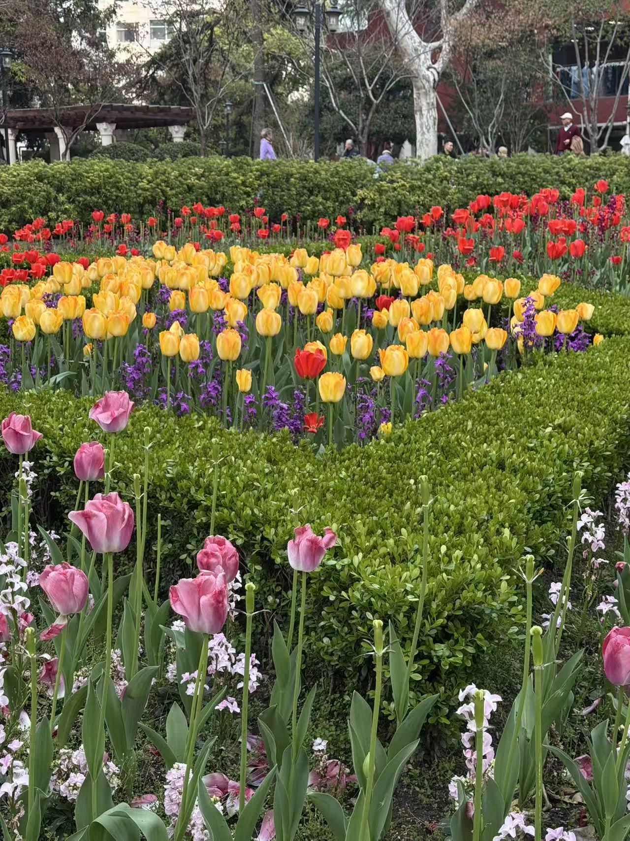 抖音邀你来赏花
