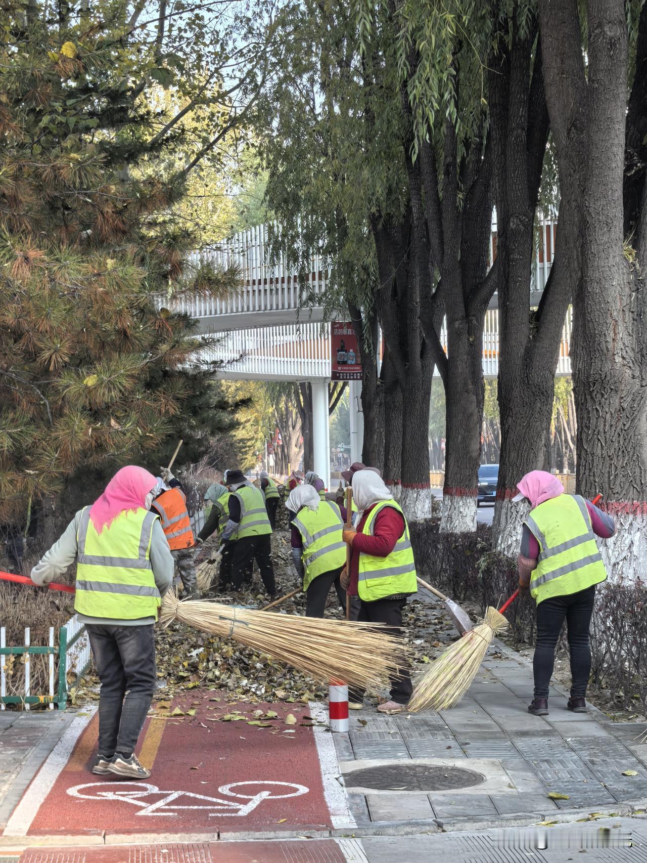 这两天的西宁街头惊现奇妙一幕，当防尘车缓缓驶过，树上的树叶仿佛被唤醒，大片大片地