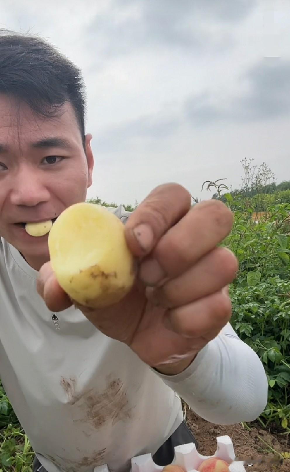 厉怀远够拼！今天在直播间表现的是真接地气啊！他跪坐在土豆地里，随手拨拉出了一只土