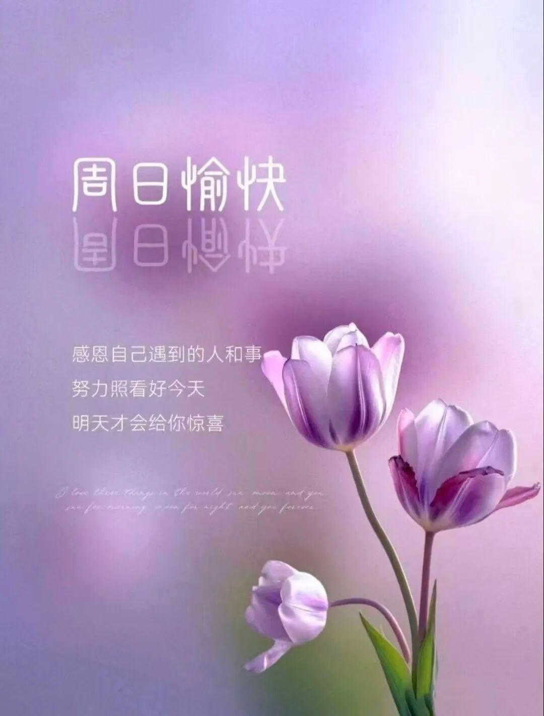 人生的旅途上，我们总是走得太急，以至于错过了沿途最美的风景。试着把生活的步调放慢