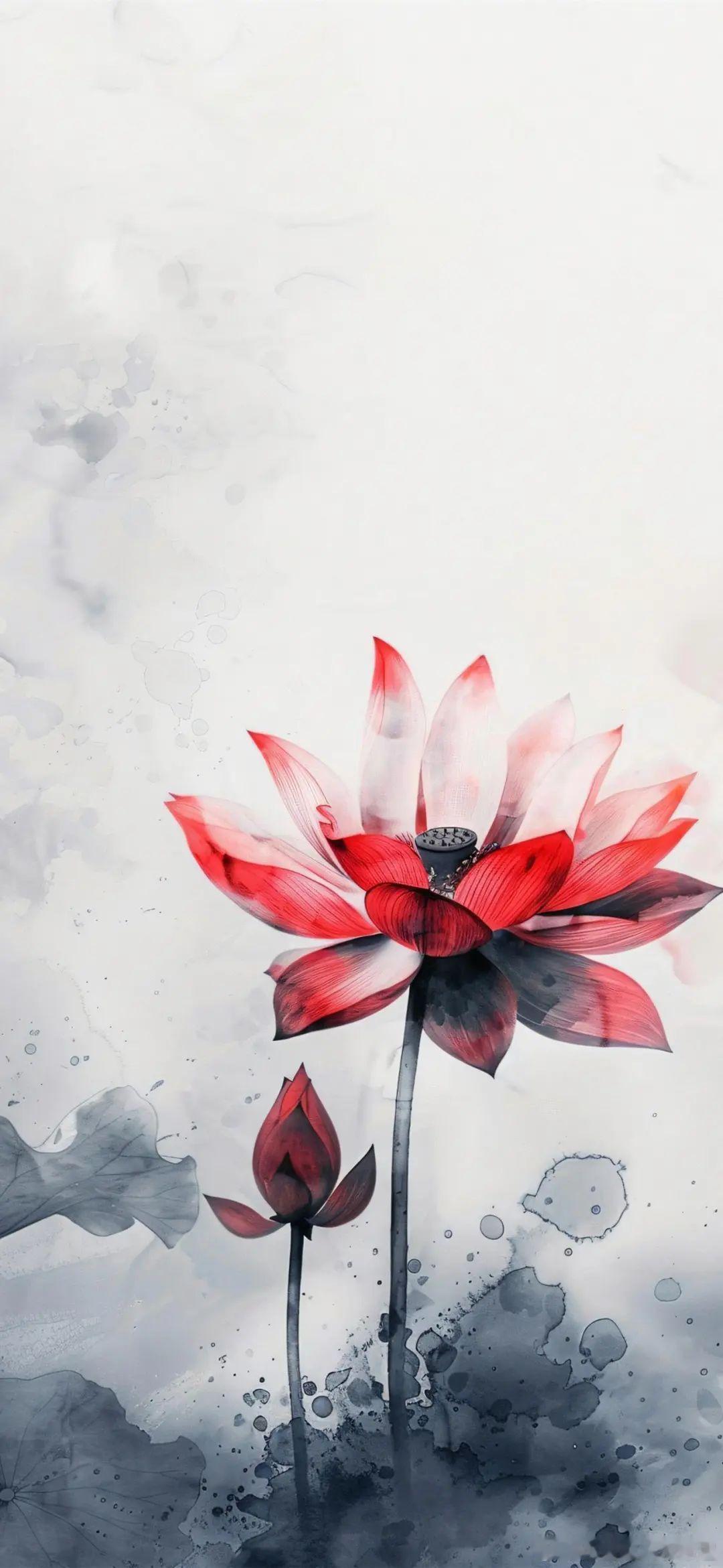 🐍生肖蛇小仙女，遇到生肖猴小王子，会是怎样的爱情魔法？💖在十二生肖的命理世界