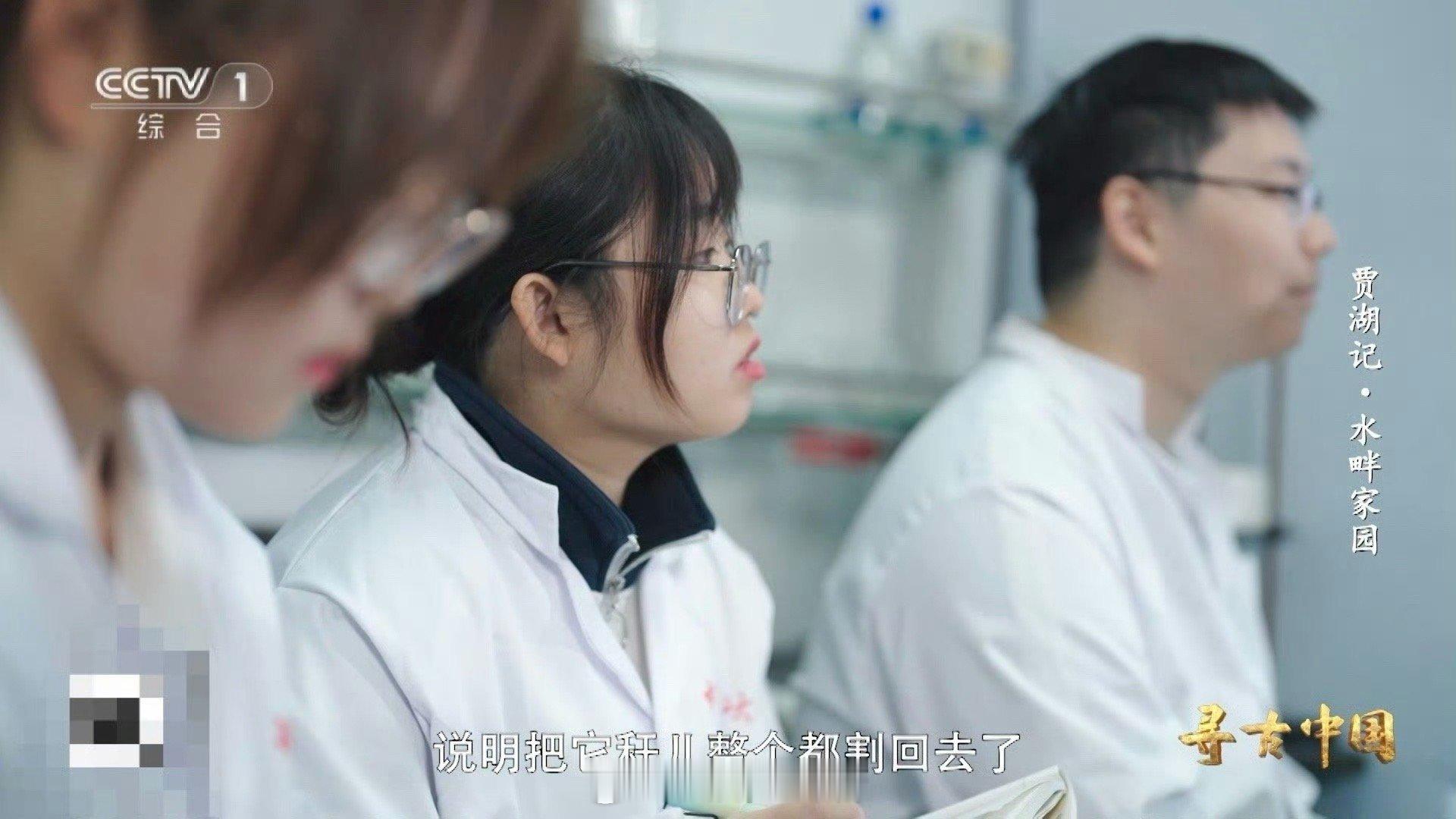 8000年前的稻谷什么样中国人对米饭的执着 从八千年前的贾湖遗址开始，中国人就与