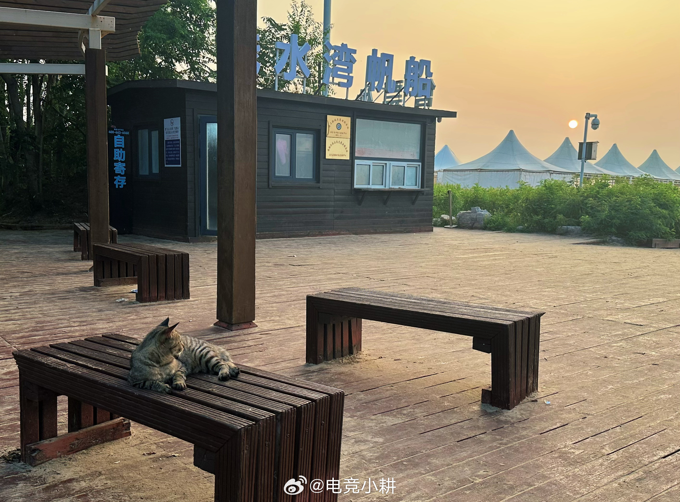 【耕酱的明信片】咪！你也是来看日出的么！日出